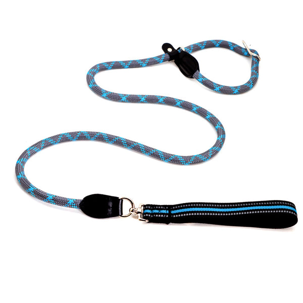 Durable P Chain Explosion-proof Dog Walking Leash