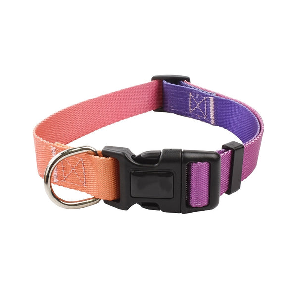 Gradient Color Durable Plastic Buckle Dog Collar