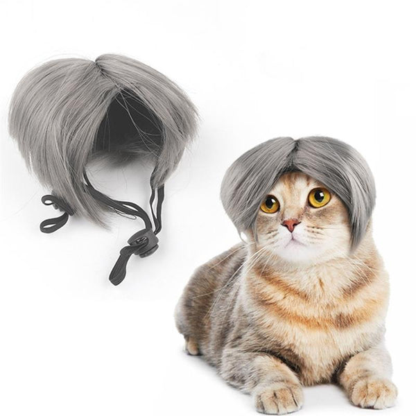 Adjustable Elastic Pet Wig Cat Grey Headdress