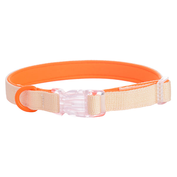 Soft Neoprene Padded Small Middle Dog Collar