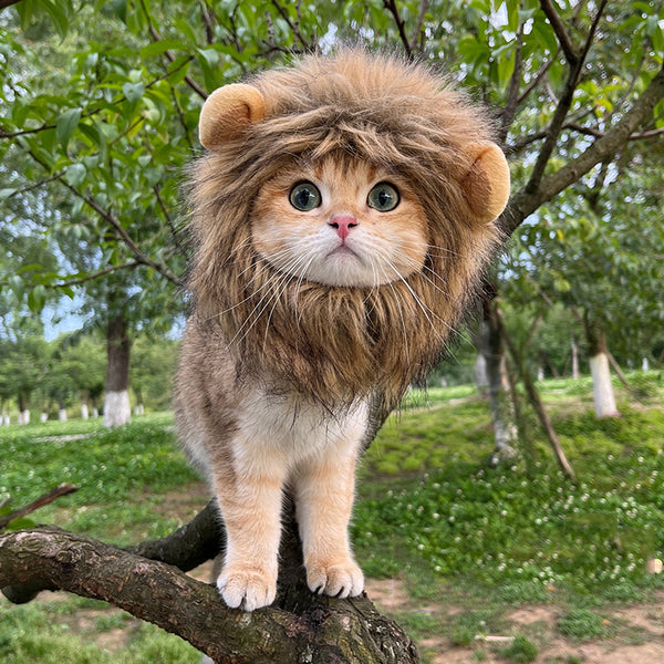 Lion Head Set Headwear Pet Wig