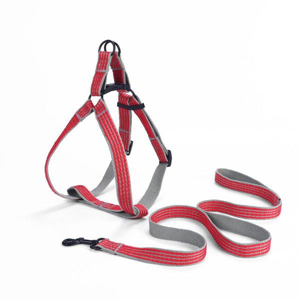 Doggy Strap Harness Wrapped with Triangular Webbing