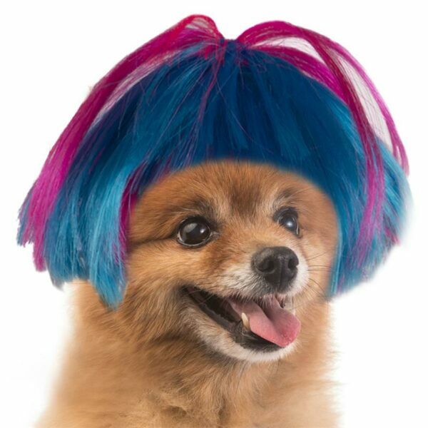 Party Colored Pet Wig Punk Bob Hair